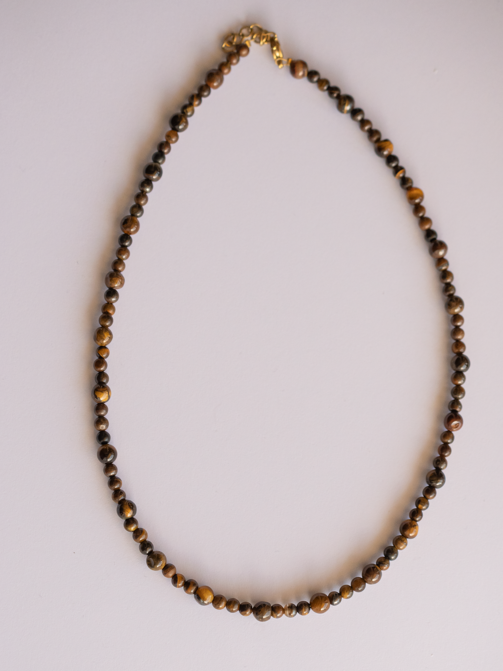 kolie-mati-tigris (2)